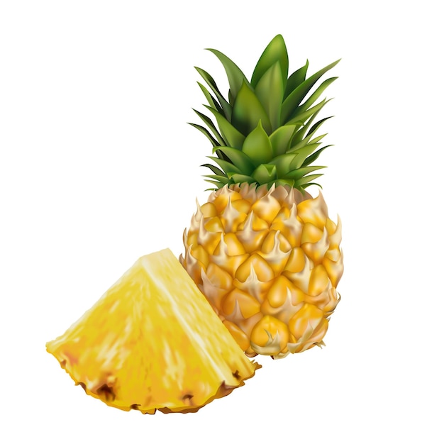 Ananas tropicale intero e ananas a fette Illustrazione vettoriale isolata 3d realistica eps10