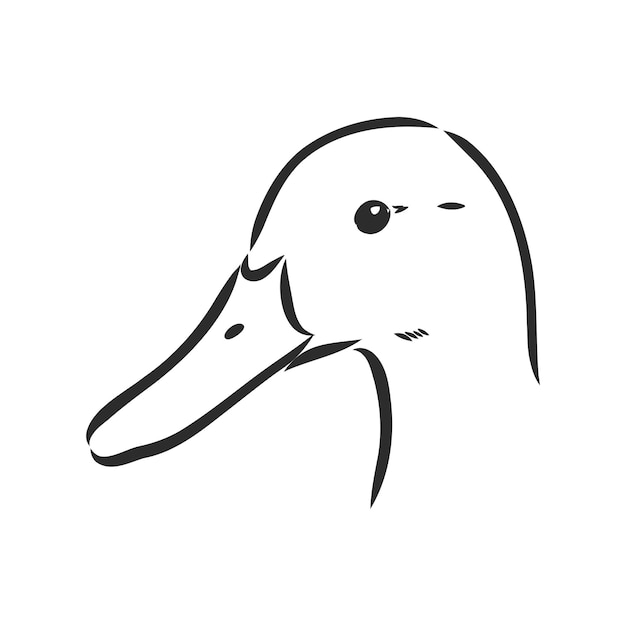 Anatra disegnata a mano animale illustrazione vettoriale schizzo vettoriale anatra su uno sfondo bianco