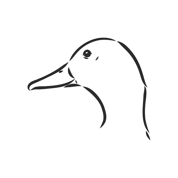 Anatra disegnata a mano animale illustrazione vettoriale schizzo vettoriale anatra su uno sfondo bianco