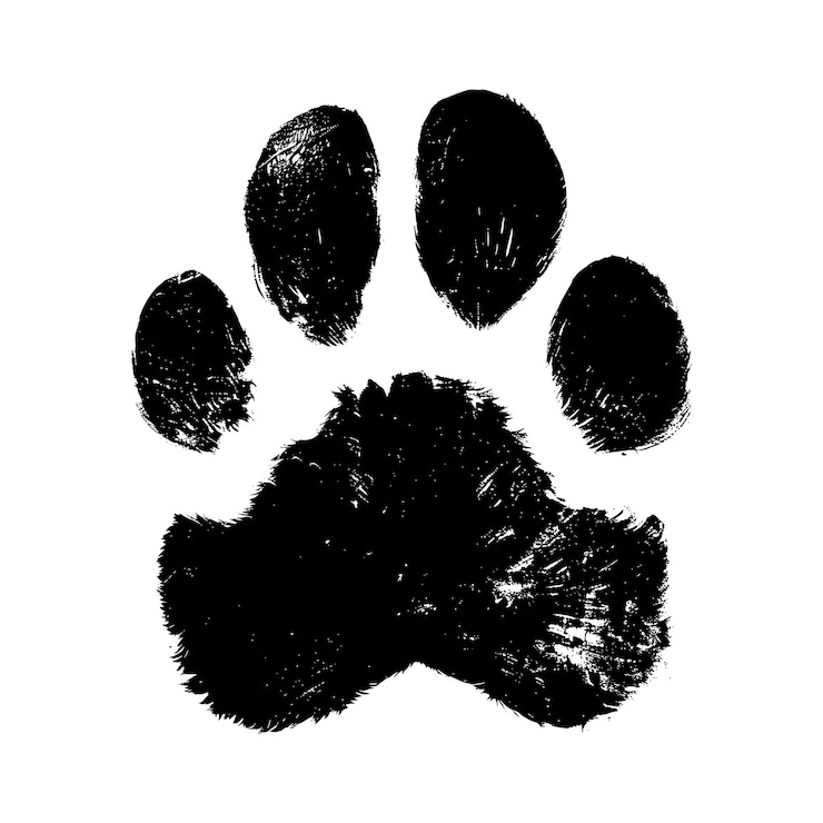 Vettore animale domestico gatto cane impronta di zampa icona stampa vettoriale silhouette logo