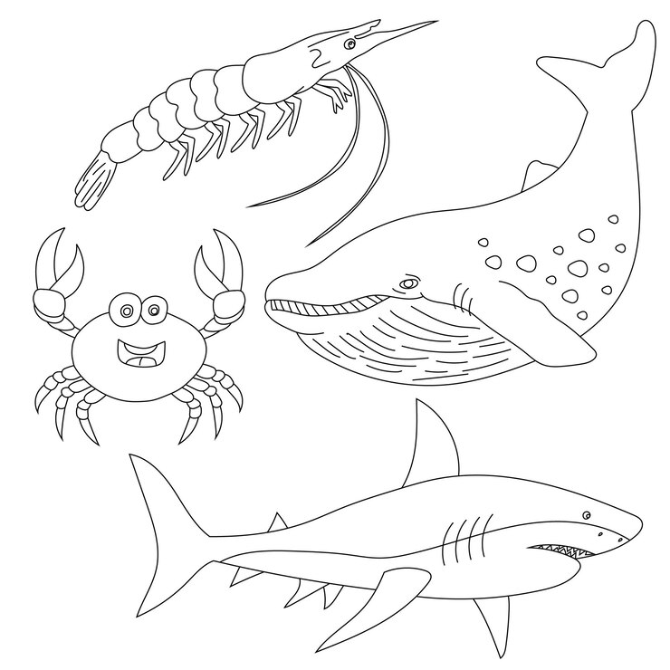 Animali acquatici Clipart Set di vita marina e creature oceaniche