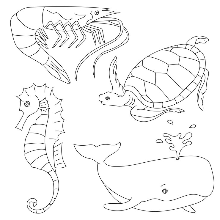 Animali acquatici Clipart Set di vita marina e creature oceaniche