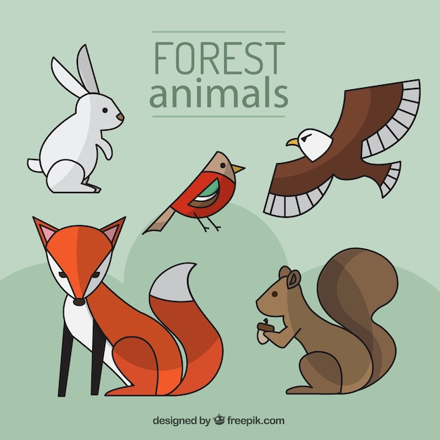 animali della foresta disegnati a mano con uno stile lineare