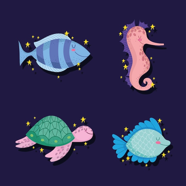 Animali marini marini