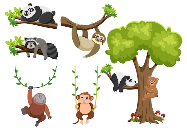 Animali selvatici appesi ai rami degli alberi