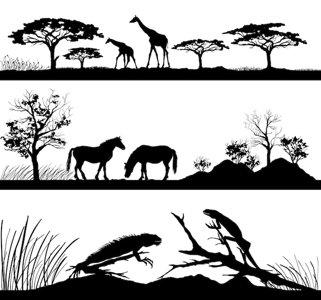Animali selvatici Giraffe cavalli iguane