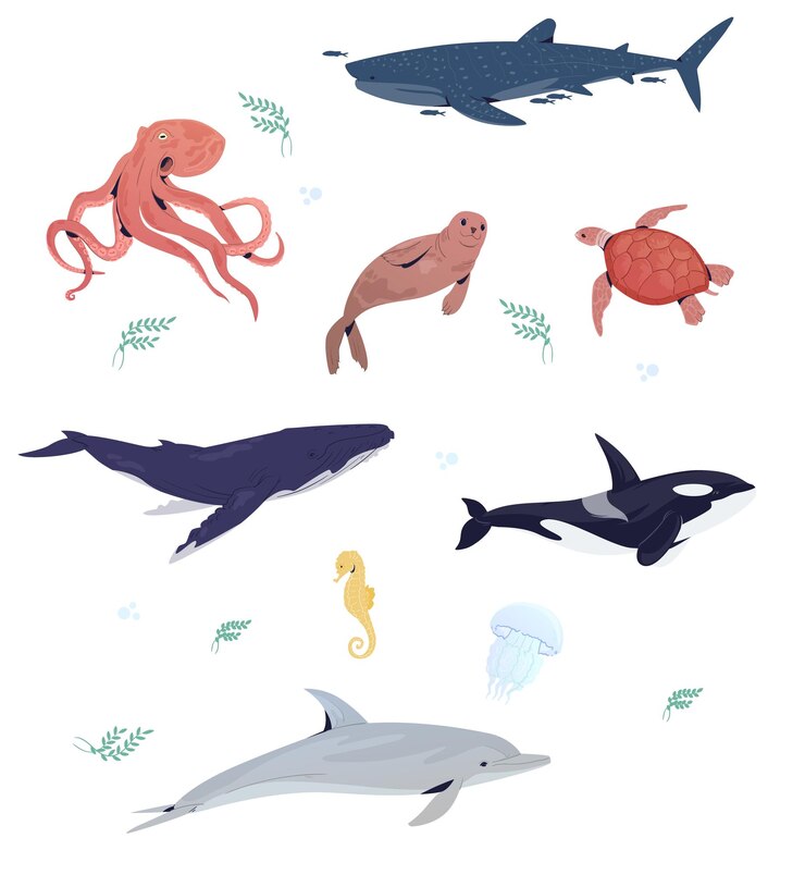 Vettore animali sottomarini con elementi di vita marina disegnati a mano