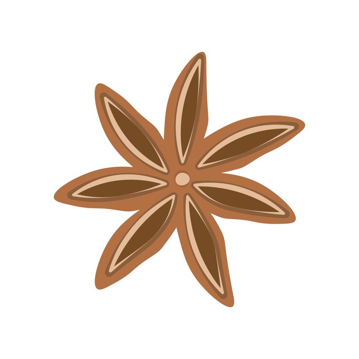 Vettore anise spice pod in forma di icona di fiore aperto