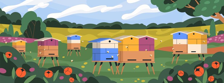 Vettore apiario con alveari e api volanti. panoramica rurale estiva del paesaggio rurale con scatole di alveari, giardino, fiori di prato per l'impollinazione. apicoltura, apicoltura. illustrazione vettoriale piatta.