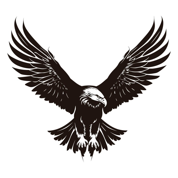 Aquila