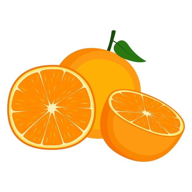 Arancia, frutta intera e metà, su sfondo bianco, illustrazione vettoriale