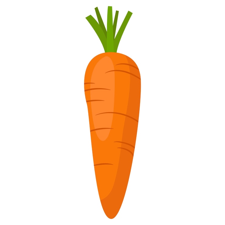 Vettore arancio carota insalata di verdure agricoltura prodotto agricolo