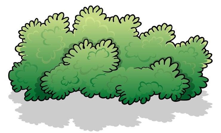 Arbusto largo verde