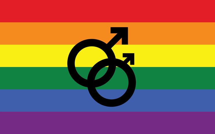 Vettore arcobaleno bandiera dell'orgoglio gay bandiera dell'orgoglio dell'identità sessuale