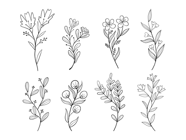 Art della linea botanica disegnata a mano