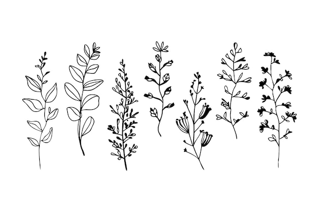 Arte con elementi botanici minimalisti