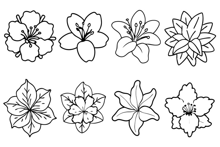 Vettore arte della linea di fiori di azalea