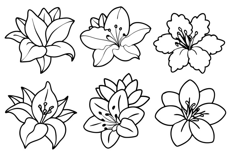 Vettore arte della linea di fiori di azalea