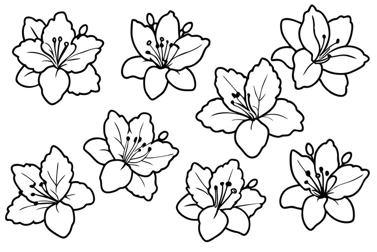 Vettore arte della linea di fiori di azalea