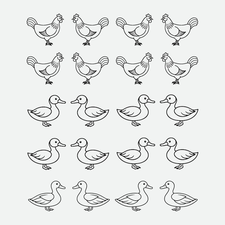 Vettore arte di anatre e galline di allevamento