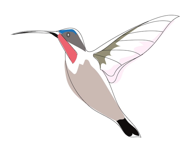 Arte di colibrì o linea di logo di colibrì