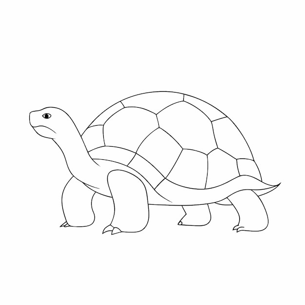 arte di una linea continua arte vettoriale tartaruga illustrazione 14