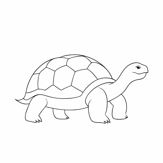 arte di una linea continua arte vettoriale tartaruga illustrazione 19