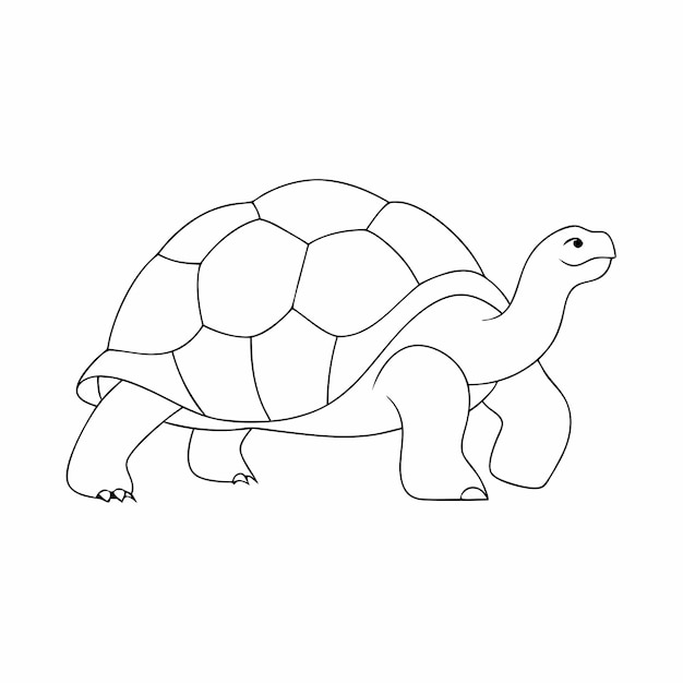 arte di una linea continua arte vettoriale tartaruga illustrazione 8