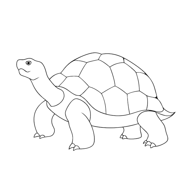 arte di una linea continua illustrazione di arte vettoriale della tartaruga 24
