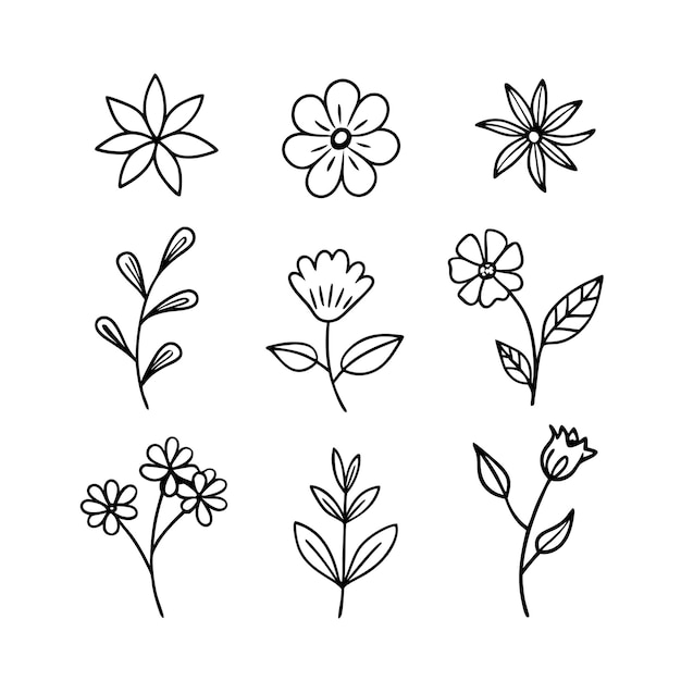 Arte vettoriale del contorno del ramo di foglia floreale disegnato a mano