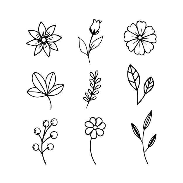 Arte vettoriale del contorno del ramo di foglia floreale disegnato a mano
