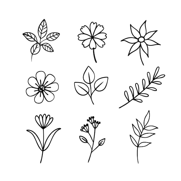 Arte vettoriale del contorno del ramo di foglia floreale disegnato a mano