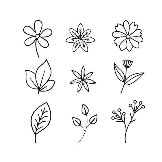 Arte vettoriale del contorno del ramo di foglia floreale disegnato a mano