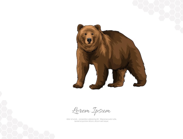Arte vettoriale dell'orso grizzly per la decorazione delle pareti