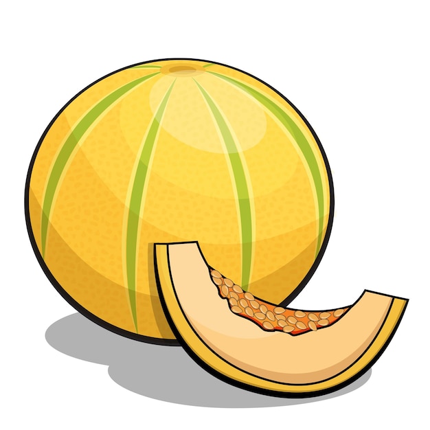 Arte vettoriale di Juicy Musk Melon