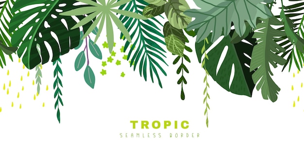 Arte vettoriale disegnata a mano con bordo senza cuciture tropicale