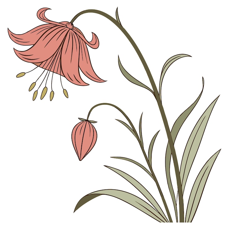 Vettore artwork di fiori selvatici ispirati alla natura per la decorazione murale floreale