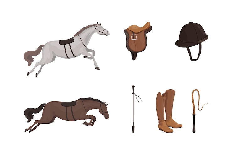 Vettore attrezzatura sportiva equestre set salto cavallo casco stivale frusta sella illustrazione vettoriale