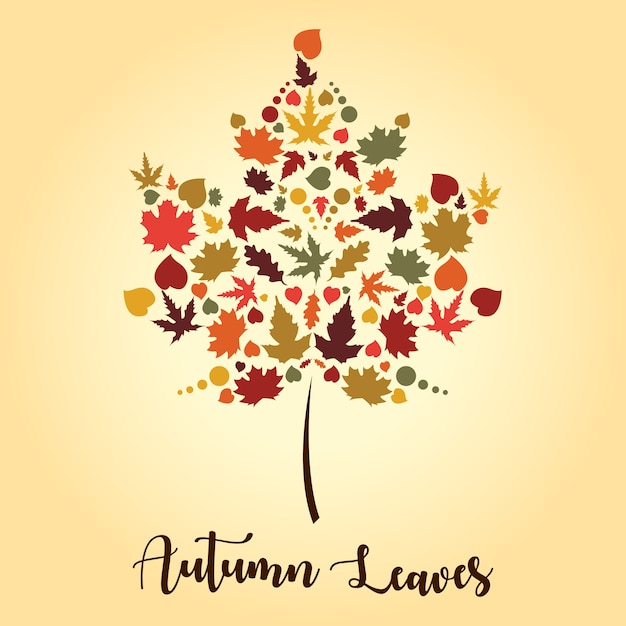 Autumn Colorfull Leaves Illustration