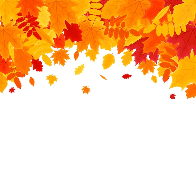 Autumn Vector Background con fogliame. Banner di illustrazione vettoriale.