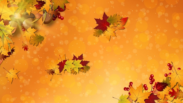 autunno_2024_008