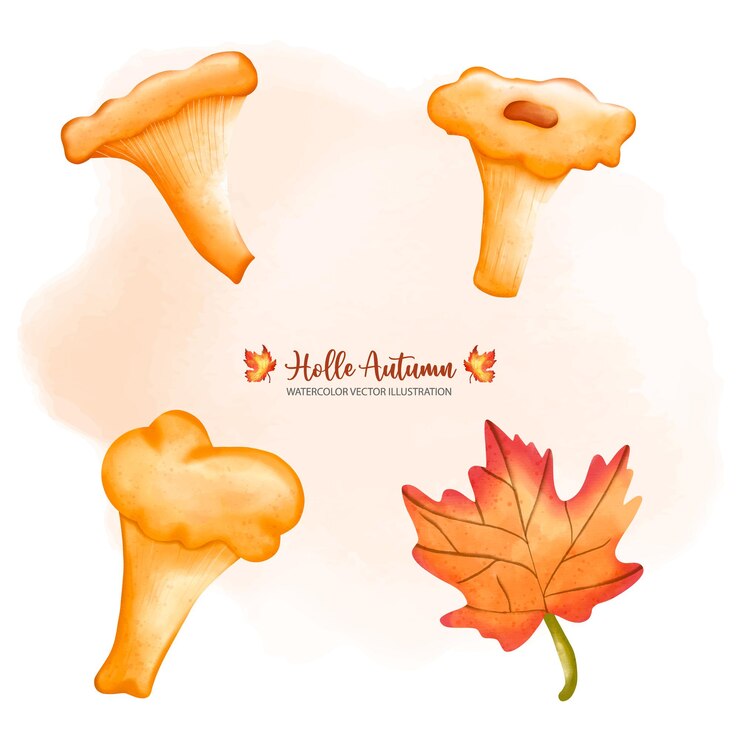 Vettore autunno acquerello fungo autunno o autunno decorazione animale pittura digitale ad acquerello illustrationxdxa