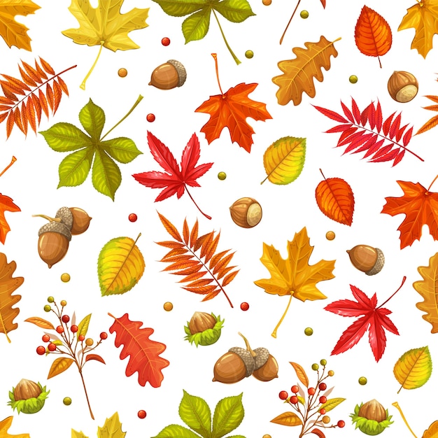 Autunno seamless pattern con foglie di acero, quercia, olmo, castagno o acero giapponese, rhus typhina e bacche autunnali. Illustrazione vettoriale di caduta.