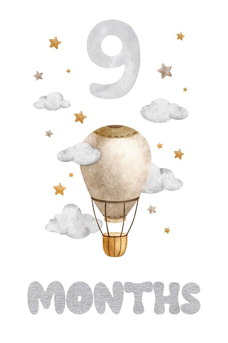 Baby Milestone Card con nuvole di mongolfiera e stelle Baby's twelve month Card per le foto dei bambini
