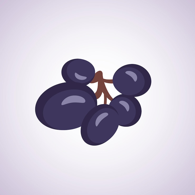 Vettore bacche di uva scura sul ramo cibo dolce sano dessert gustoso sano illustrazione piatta vettoriale