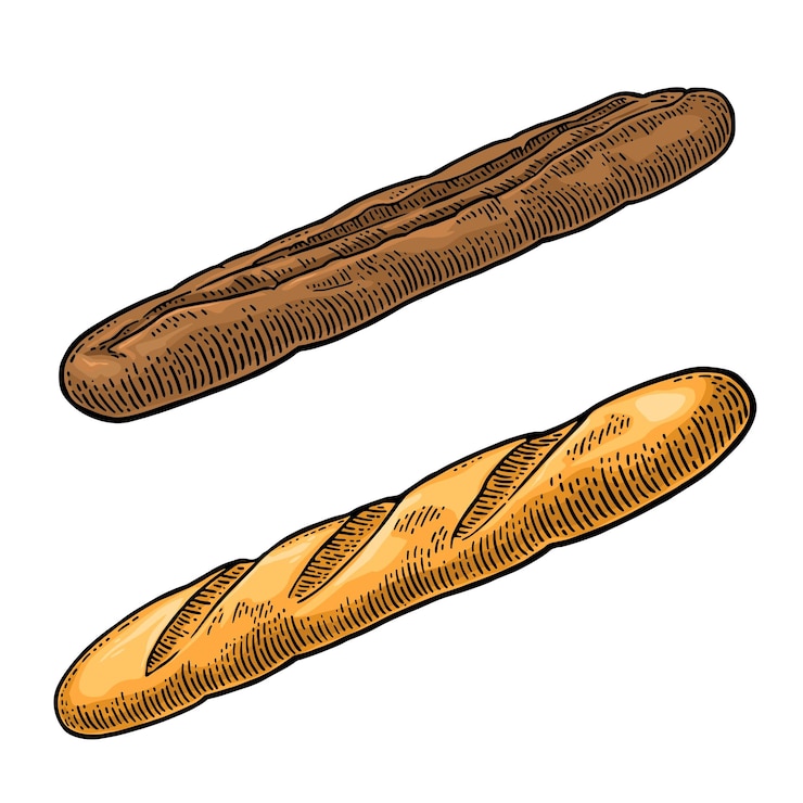 Vettore baguette vector colore disegnato a mano incisione vintage illustrazione per etichetta poster e menu panetteria isolato su sfondo bianco