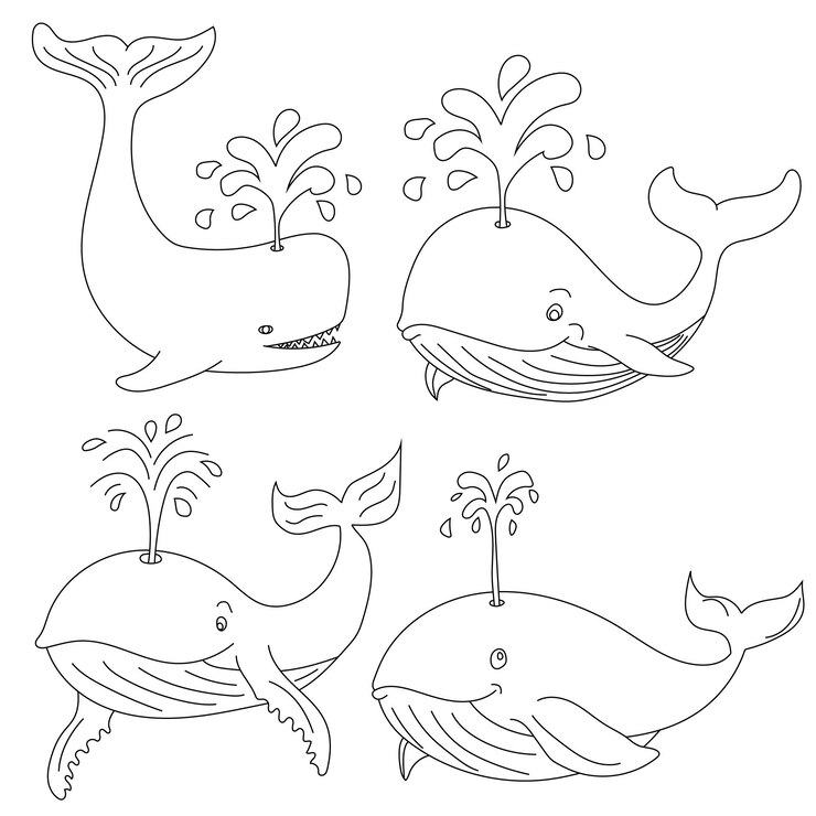Balea Clipart Animali acquatici e marini Clipart