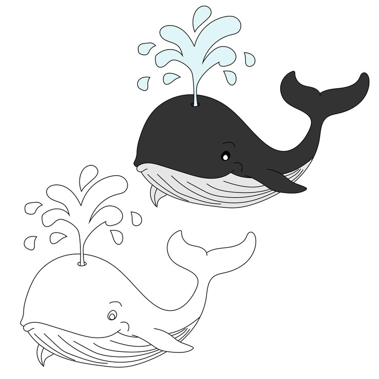 Balea Clipart Animali acquatici e marini Clipart