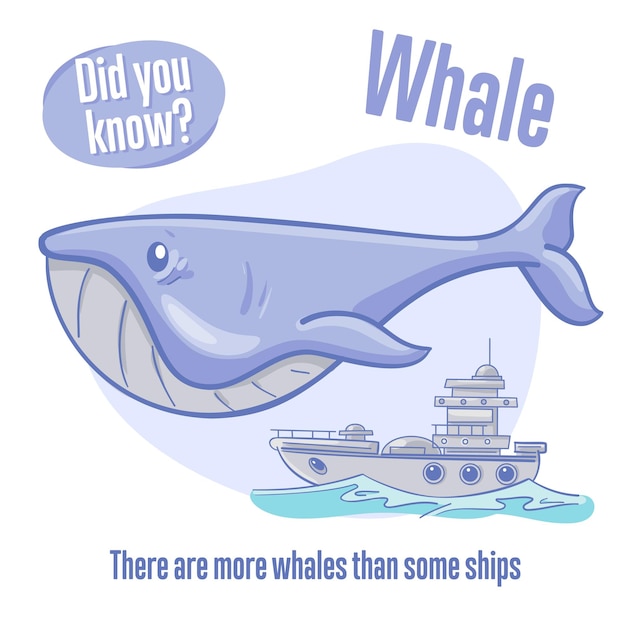 Balena Curiosità sugli animali marini Lo sapevi