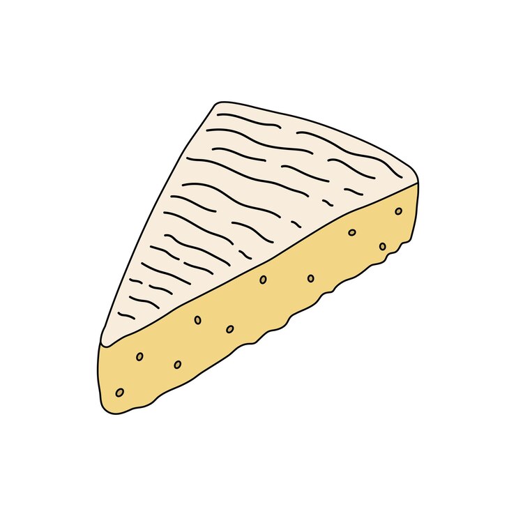 Vettore bambini che disegnano cartoni animati illustrazione vettoriale icona di formaggio brie isolato su bianco